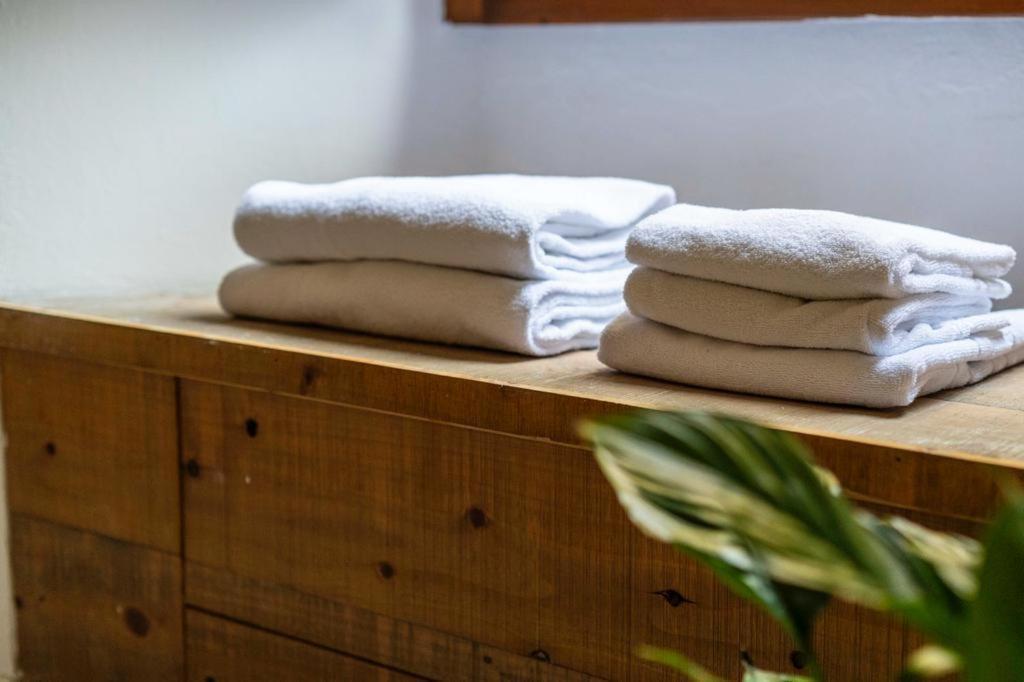 Puccinotti House Apartment Флоренция Екстериор снимка