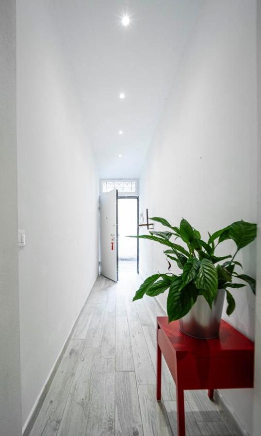 Puccinotti House Apartment Флоренция Екстериор снимка
